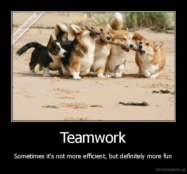 World Wildness Web: Teamwork meme