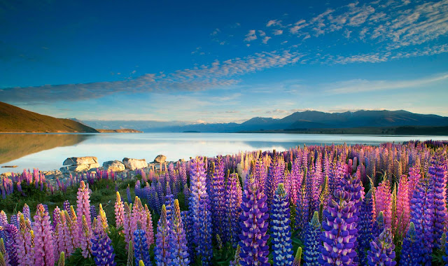 Tekapo lake new zealand beautiful lake, new zealand, tekapo lake, ancient lake