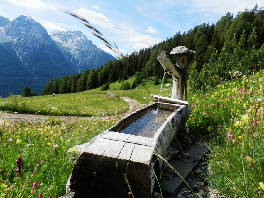 ruta-transalpes-btt-avituallamiento