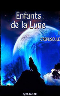 http://carnetdunefildeferiste.blogspot.fr/2015/01/enfants-de-la-lune-tome-1-crepuscule-de_24.html