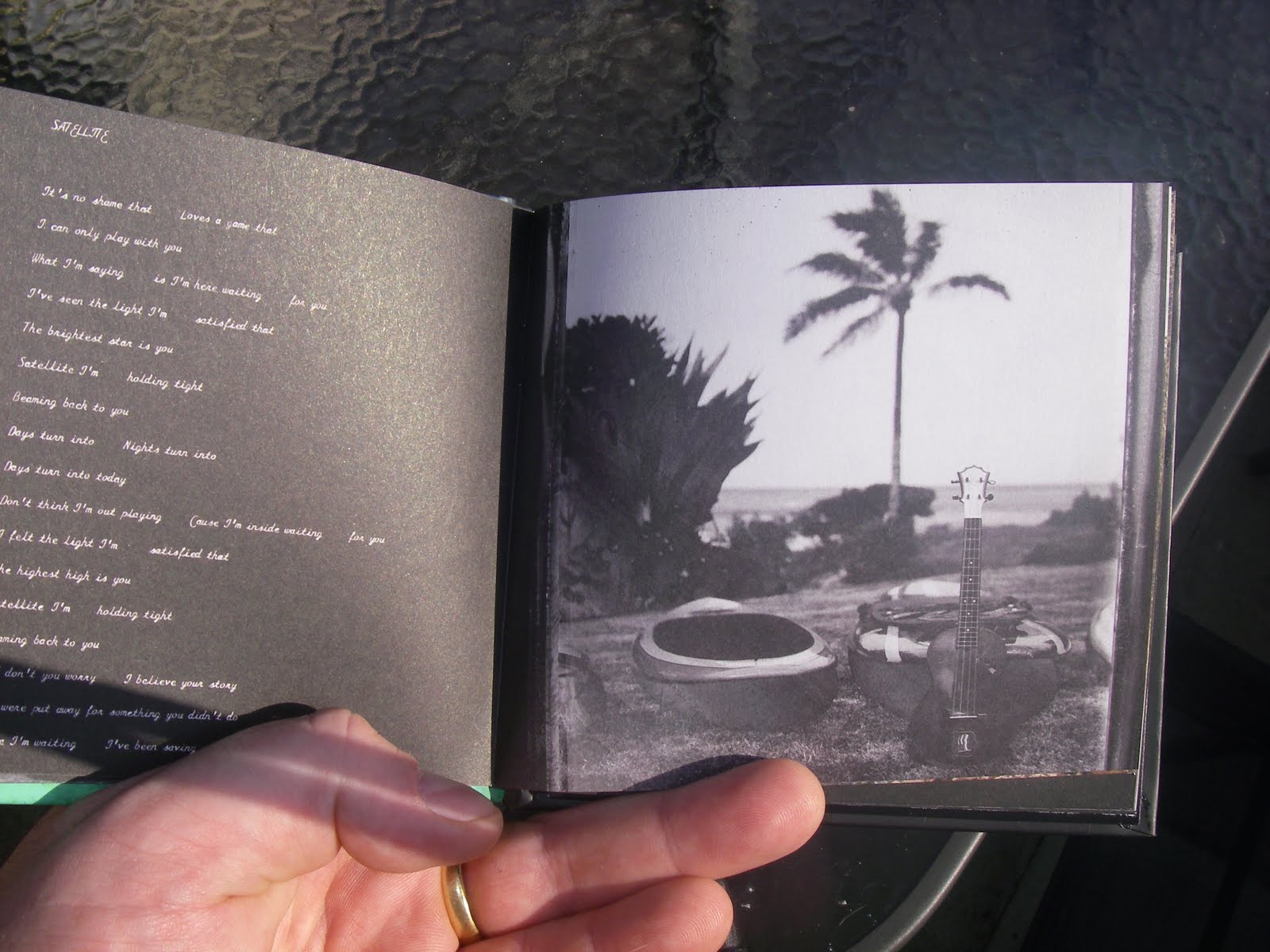 Eddie Vedder - Ukulele Songs - REVIEW