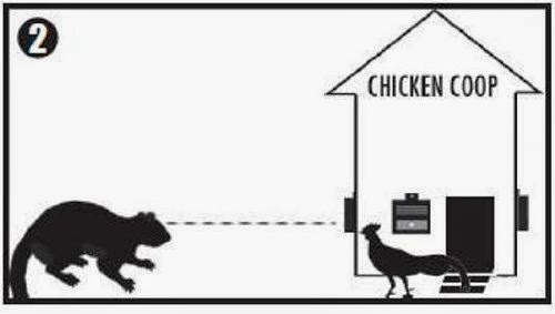 Nite Guard Solar Predator Deterrent Lights - 4 Pack (No Batteries Needed)