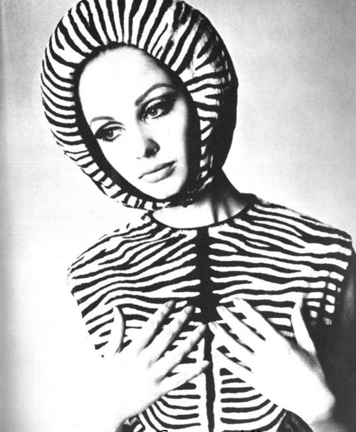 Kitten Vintage: Fashion Inspiration - Zebra Print Accessories