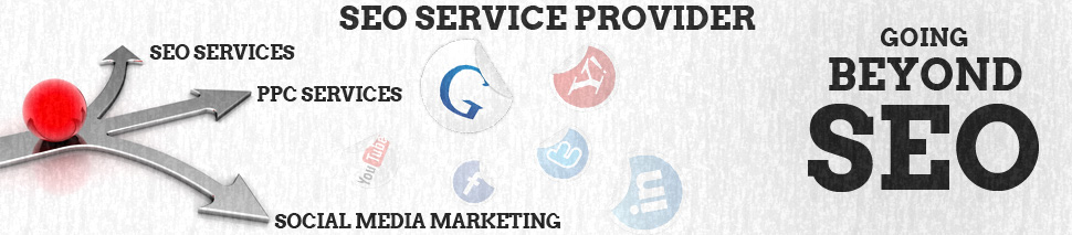 SEO Service provider