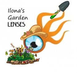 Garden Lenses