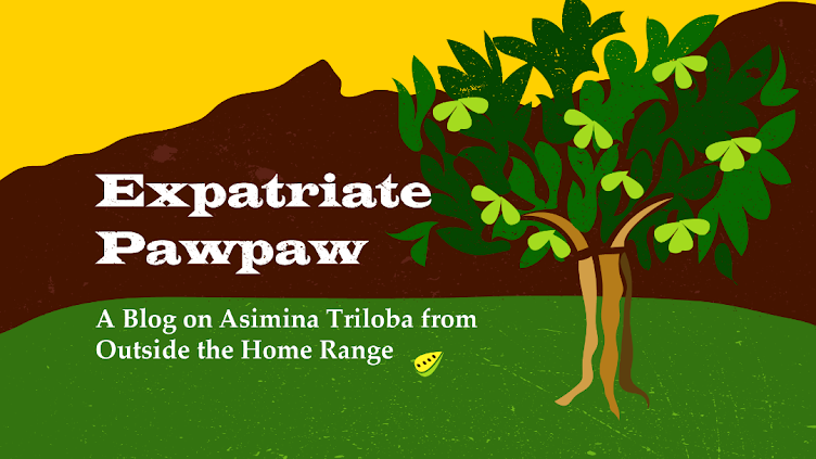 Expatriate Pawpaw