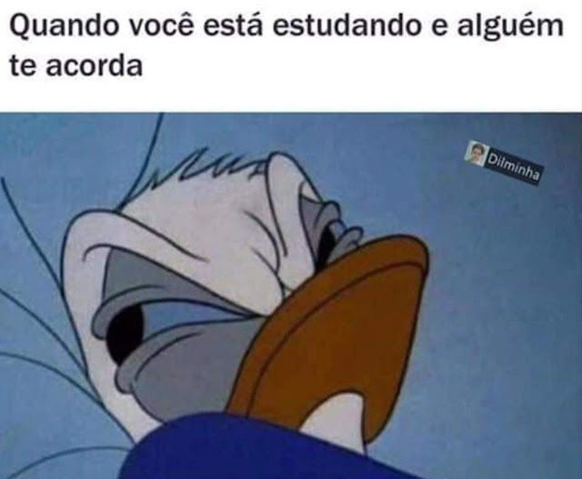 Memes engraçados Memes engraçados