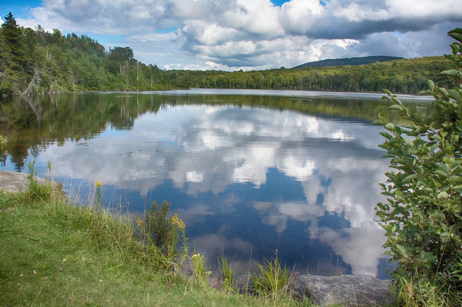 Carol's View Of New England May Pond, Barton VT
