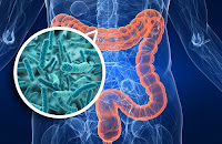 Fuente: http://www.tenlife.co/wp-content/uploads/2016/03/floraintestinal2.jpg