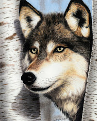 realistic animal colored wolf pencils drawings portraits jasmina designstack press enlarge