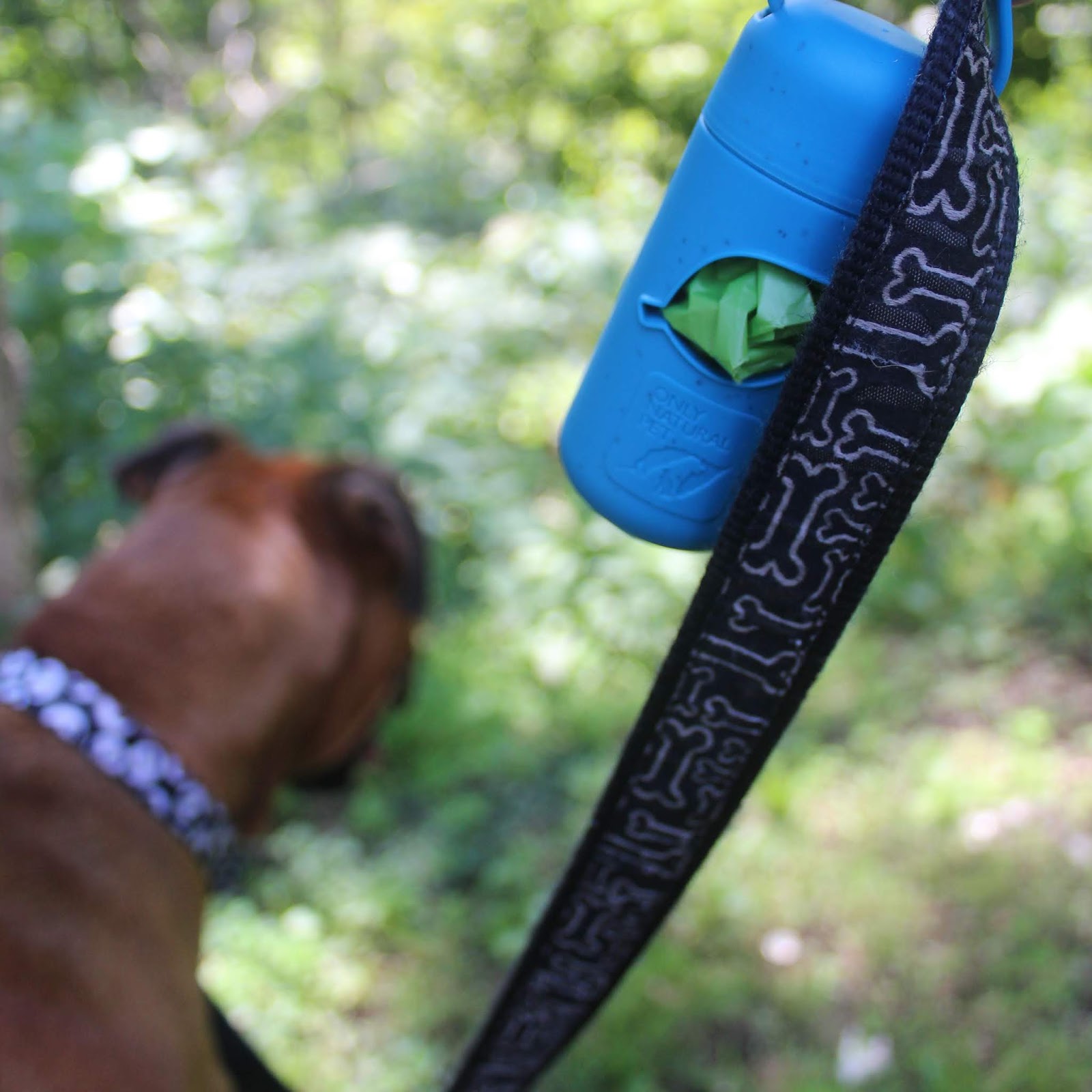 only natural pet eco friendly poop bags