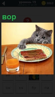 Кот залезает на стол и как вор лапой тащит пищу из тарелки со смущенным выражением мордочки