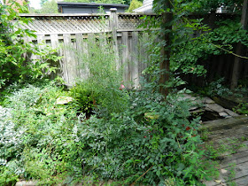 Broadview Danforth Toronto backyard clean up before by Paul Jung Gardening Services