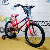 Sepeda Anak Erminio 235 BMX