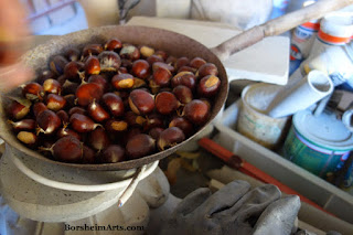 Castagne / Chestnuts in Cava Nardini Vellano Tuscany Italy