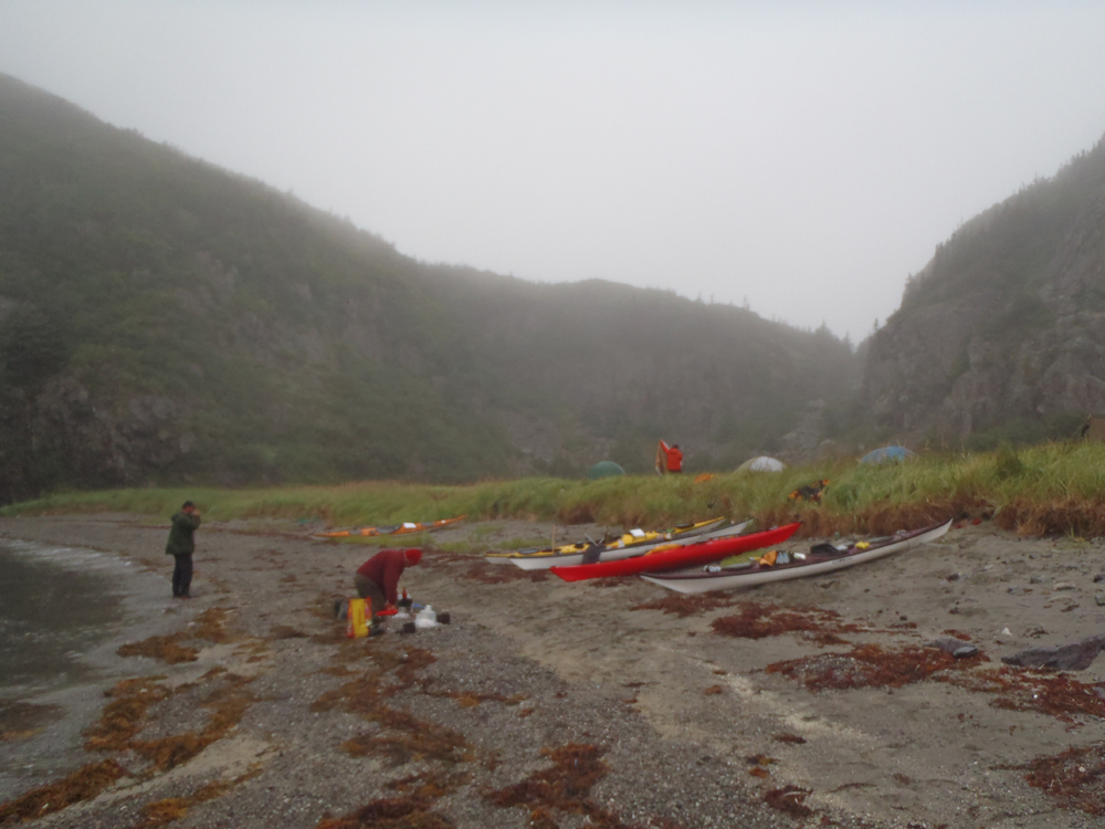 My Newfoundland Kayak Experience Placentia Bay 2015 Paradise lost