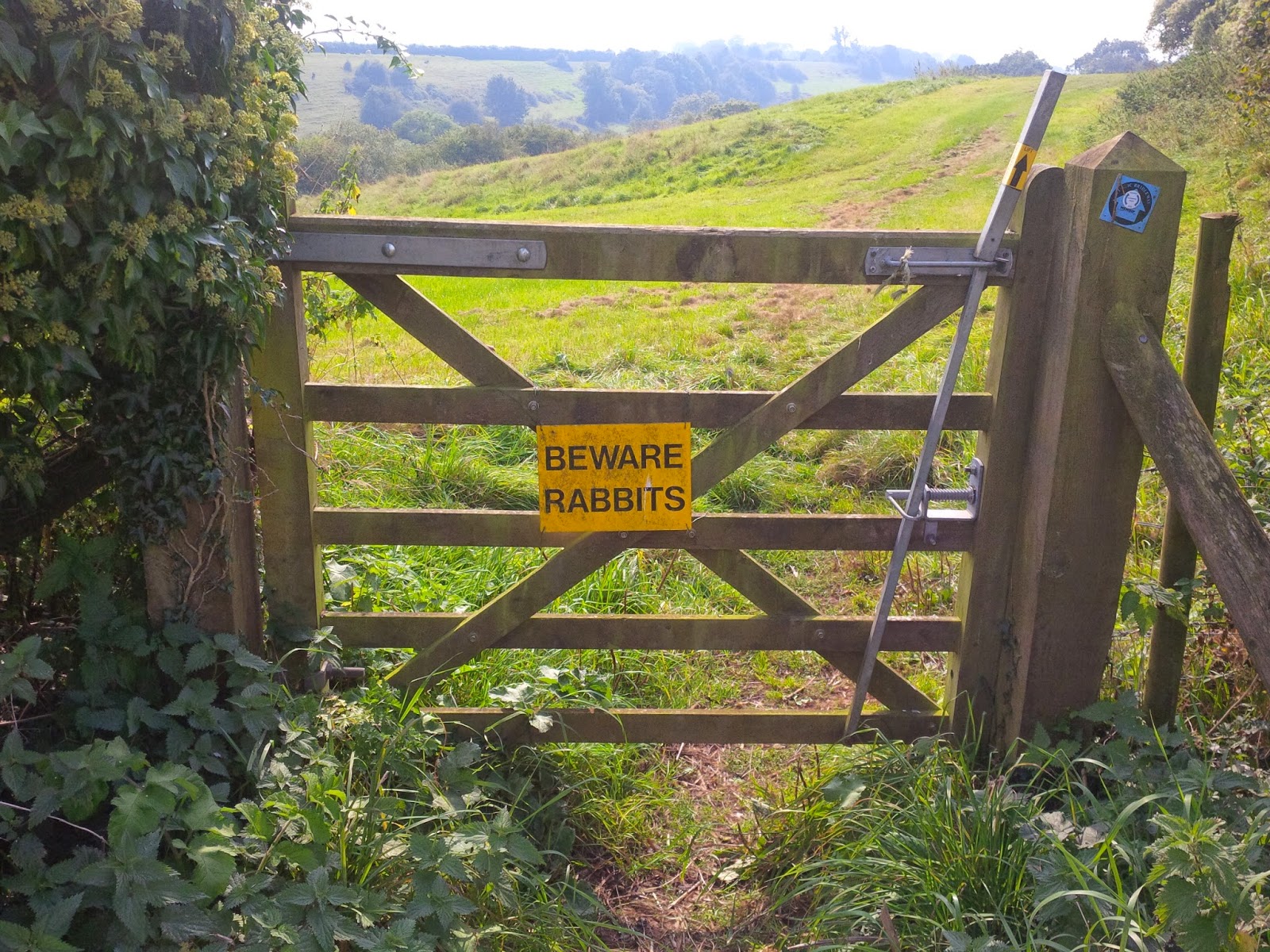 justthoughtsnstuff three horseshoes, dodgy mobile signal