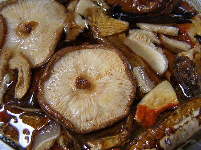 표고버섯