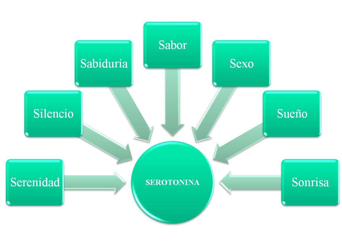 erección de serotonina erección de serotonina