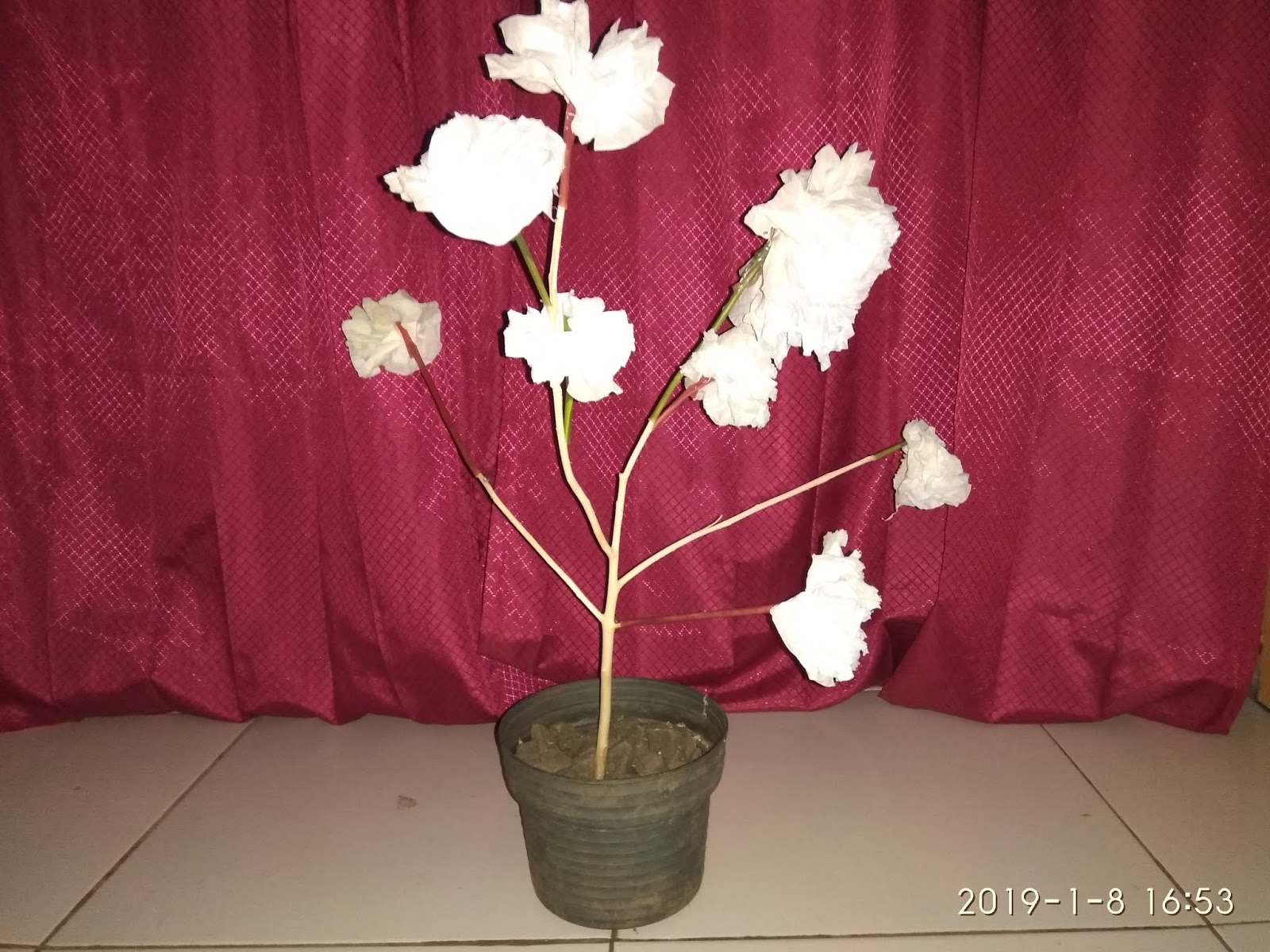 Contoh Kerajinan Tangan Membuat Tanaman Hias Catatan Chépot