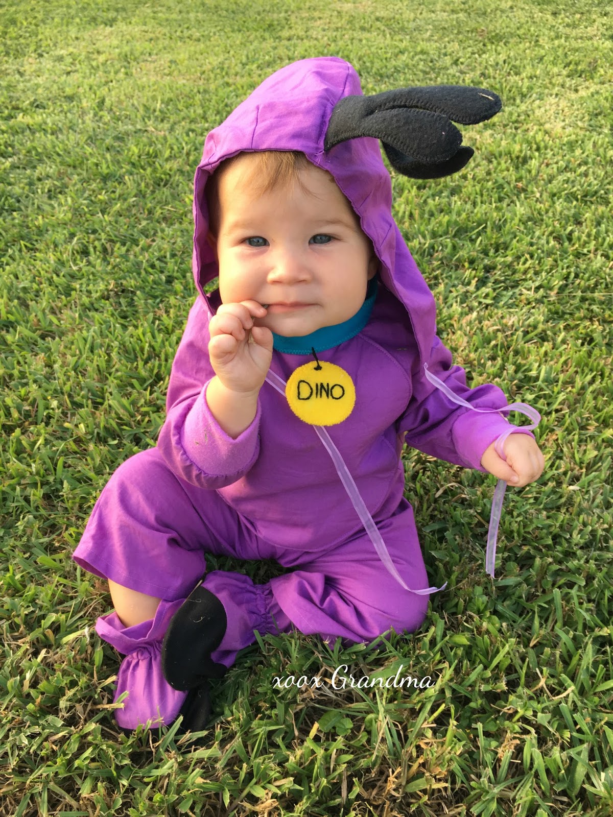 Flintstones Dino Dog Costume