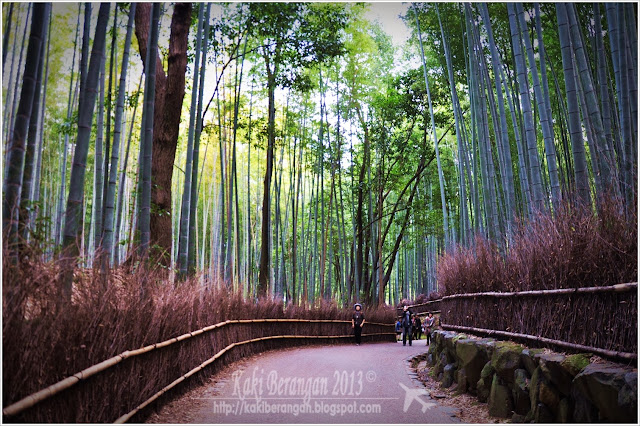 kansai japan 2013 9 bamboo grove arashiyama nishiki market kyoto 5