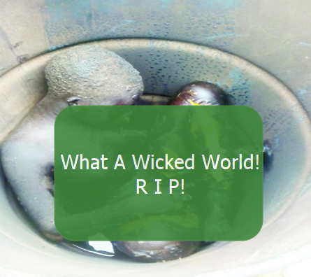 dead body drum abeokuta 