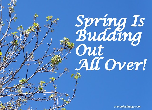 A Time for Blooming!