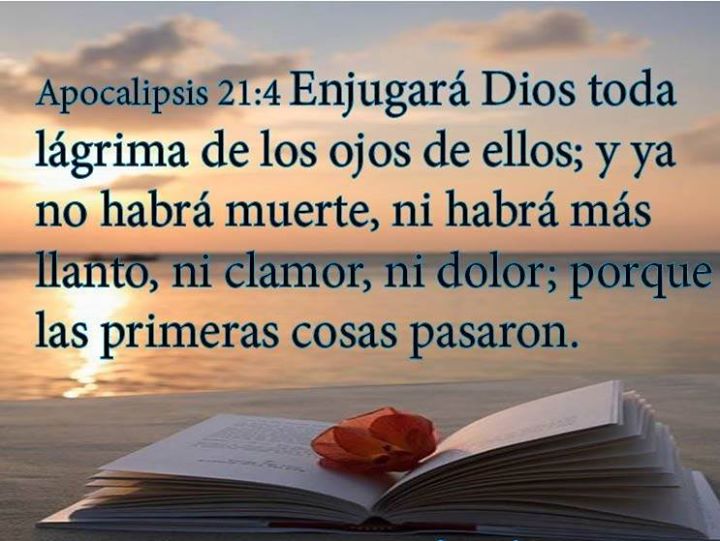 Padre Tomas entre Rejas Versículos de