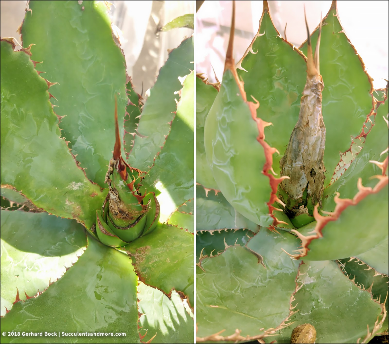 Fall Decorating At Home Depot S Garden Center A Very Sweet Blog