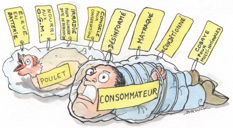 Le monde en Vert Consommateur