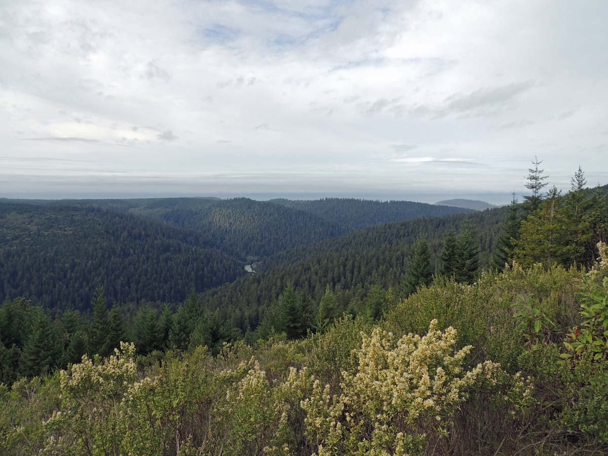 Must See Places On The West Coast Of America Queenhorsfall