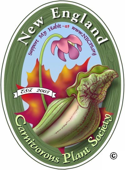 Natch Greyes Carnivorous Plants Sarracenia Venus Flytraps