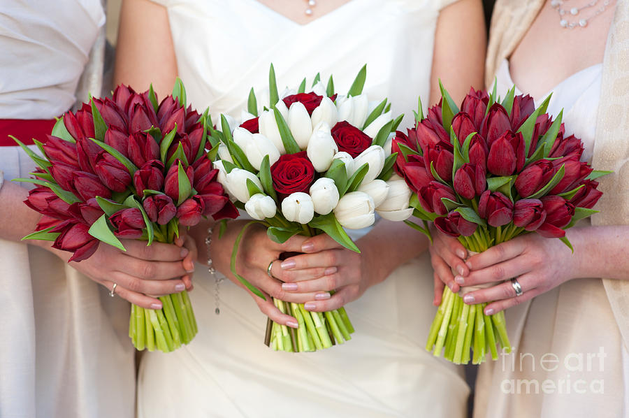 Decoração de casamento: a elegância das tulipas! — Guia Tudo Festa - Blog  de Festas - dicas e ideias!