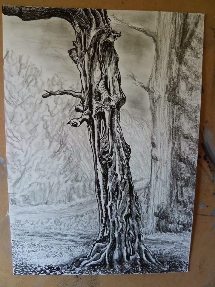 OCA drawing1 blog: Project: Drawing trees