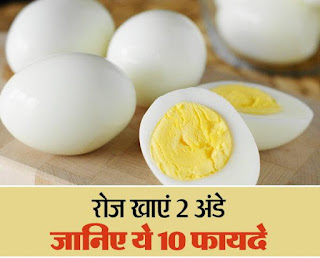 2 अंडे रोज़ खाने के फायदे 