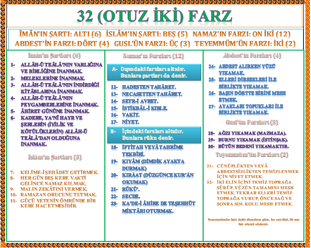 Pratik Bilgi Sitesi: Otuz İki Farz Hakkında Bigi