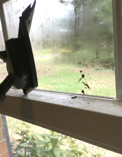 If your windows and doors are like mine, they probably need a good cleaning to remove the layer of grime winter weather has left. I am sharing my tips on how to give your windows and doors a deep clean inside and out!