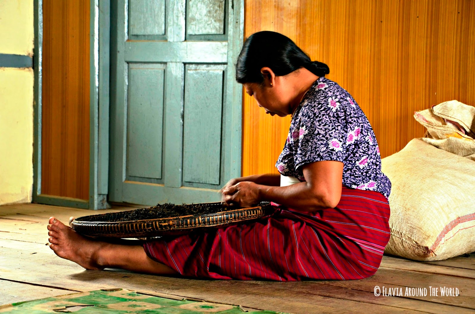 Mujer de la tribu Palaung cribando el te en Myanmar Mujer de la tribu Palaung cribando el te en Myanmar