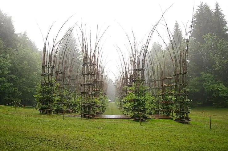 Mind-Blowing Photos Of Cathedral Made Of Trees