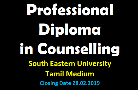 Professional Diploma in Conselling - South Eastern University