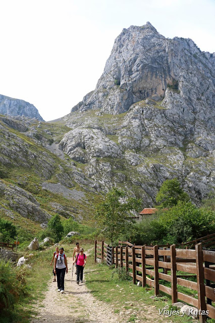 Bulnes