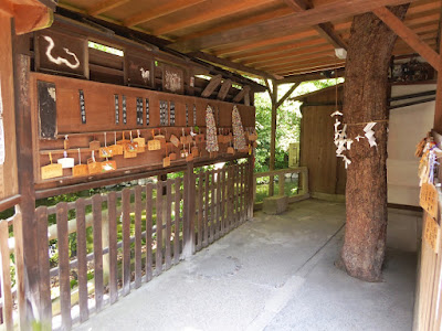 京都御苑・池の弁天 厳島神社（いつくしまじんじゃ）本殿のうしろ　白蛇