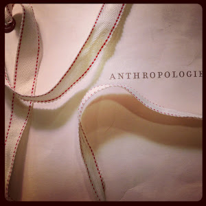 Inspired by Anthropolgie Bag