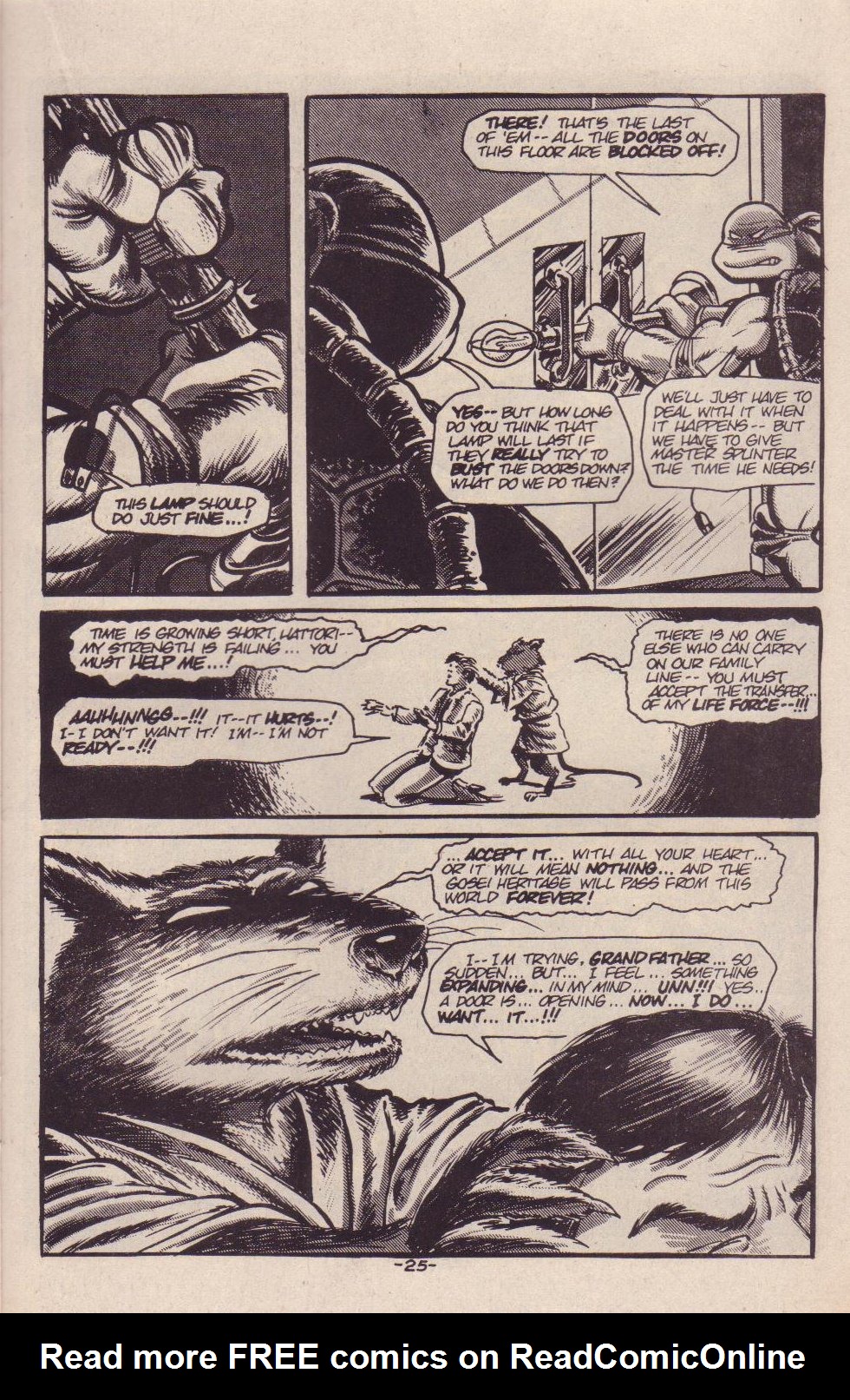 Teenage Mutant Ninja Turtles (1984) Issue #9 #9 - English 27