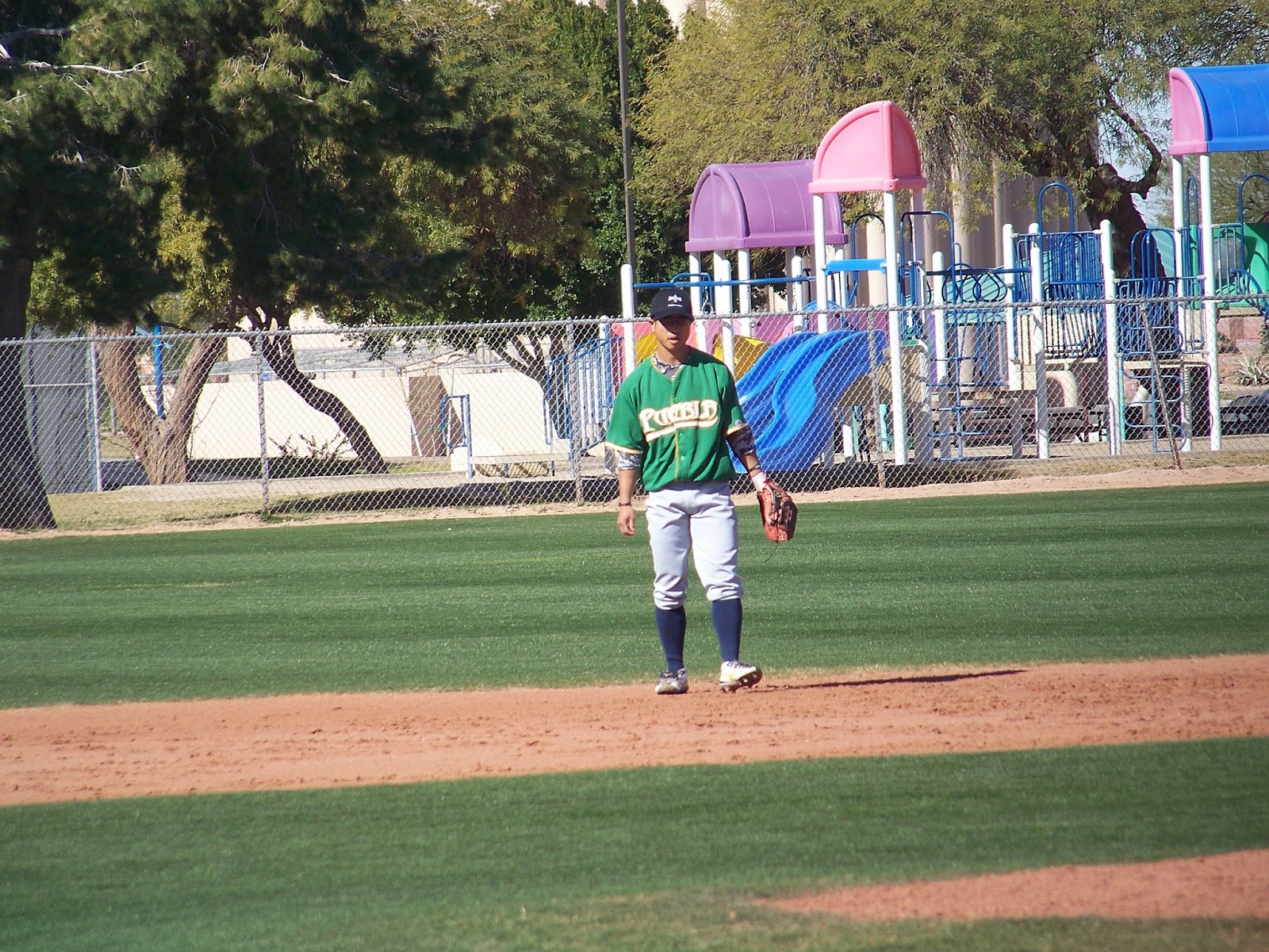 Japanese Baseball Cards Yuma, the Swallows and the Arizona Winter League