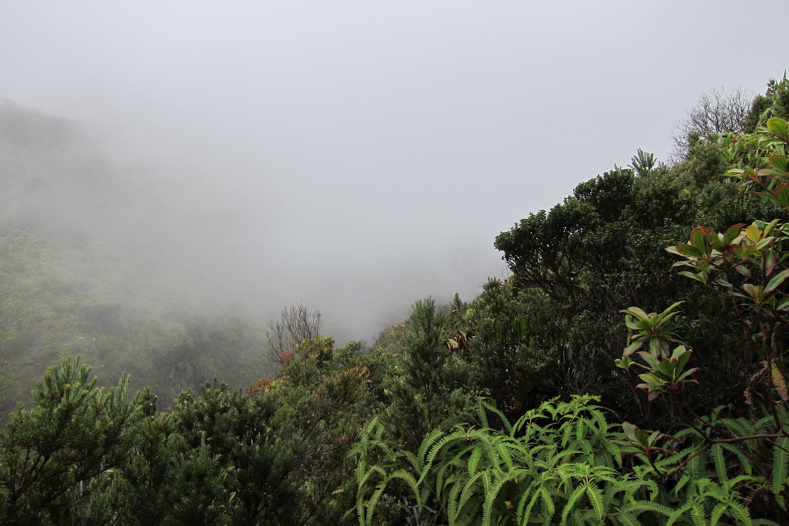 travel. eat. write Mt. Apo and My Breathtaking Ascent Close to the Heavens