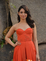 Tamanna at Oopiri Pressmeet-cover-photo