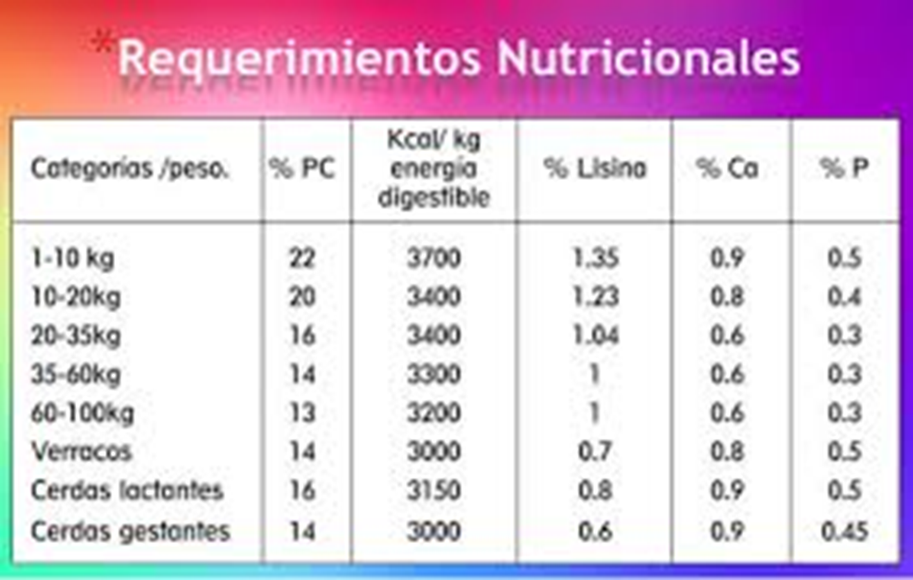Tablas Requerimientos Nutricionales Tablas Requerimie vrogue.co