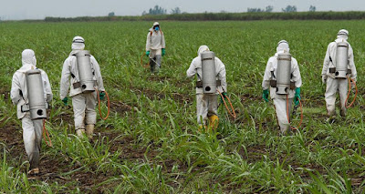 Προσοχή: Η Καρκινογόνος Ουσία Γλυφοσάτη σε Δημοφιλή Προϊόντα Βρώμης  